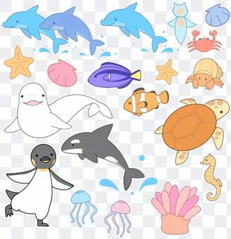 Sea friends Sea friends