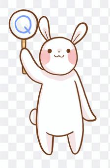 Question rabbit Question rabbit