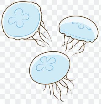 クラゲ (ミズクラゲ) クラゲ (ミズクラゲ)