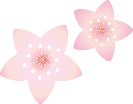 Two peach blossoms Two peach blossoms