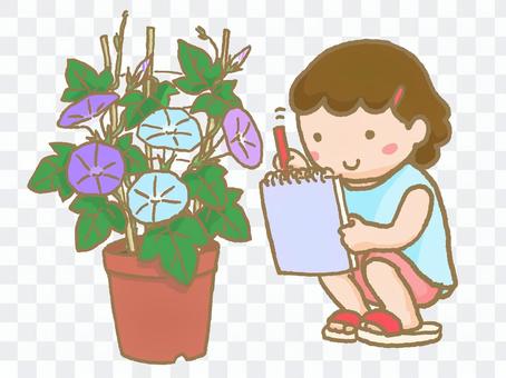Observation of morning glory Girl 2 Observation of morning glory Girl 2