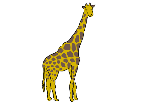 Zambe Giraffe Zambe Giraffe