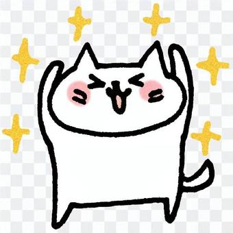 Yayed cat Yayed cat