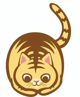 A round cat A round cat
