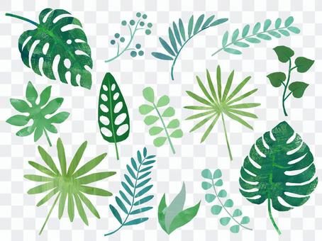 Tropical leaf material Tropical leaf material