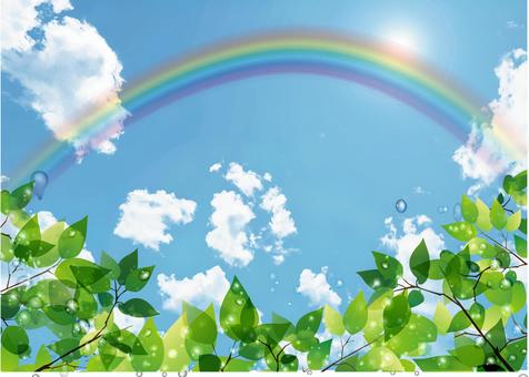Fresh green, blue sky and rainbow Fresh green, blue sky and rainbow