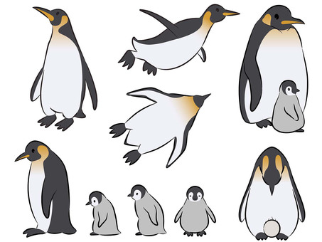 Emperor penguin pose set Emperor penguin pose set