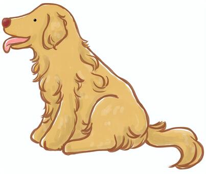 Dog _ Golden retriever Dog _ Golden retriever