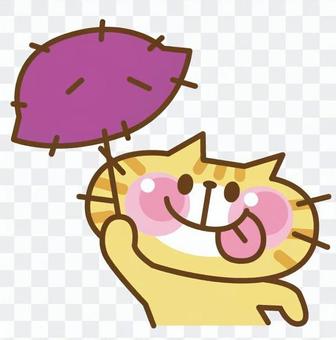 Cat and potatoes Cat and potatoes