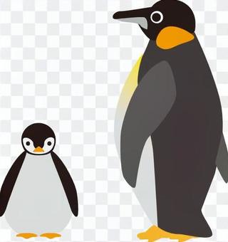 Penguin parent and child Penguin parent and child