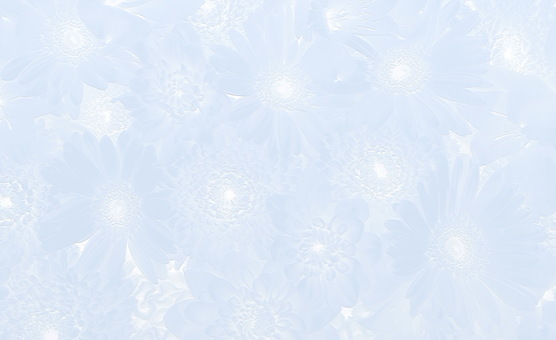 3d gerbera and dahlia relief 3d gerbera and dahlia relief