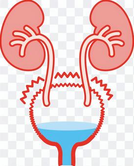 Medical-active bladder Medical-active bladder