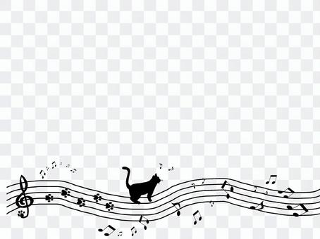 Staff and cats Staff and cats