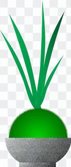 Moss jade Moss jade