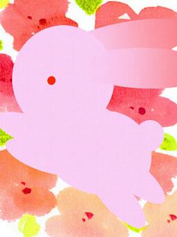 Flower and rabbit Flower and rabbit