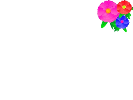 Peony show board Peony show board