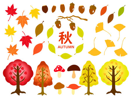 Autumn leaves / plant material set Autumn leaves / plant material set