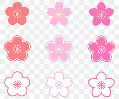 Ume, cherry, peach flower Ume, cherry, peach flower