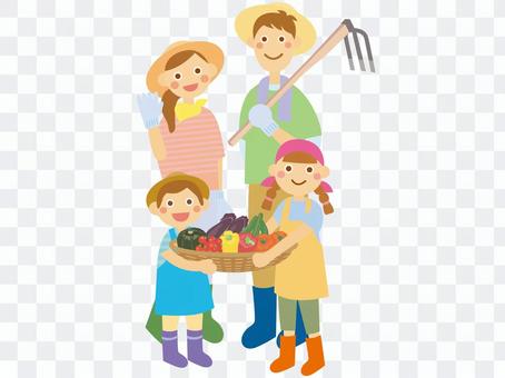 Vegetable harvest Vegetable harvest