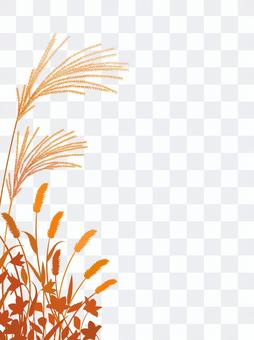Autumn background silhouette pampas grass Autumn background silhouette pampas grass