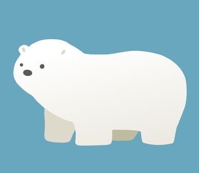 Polar bear Polar bear