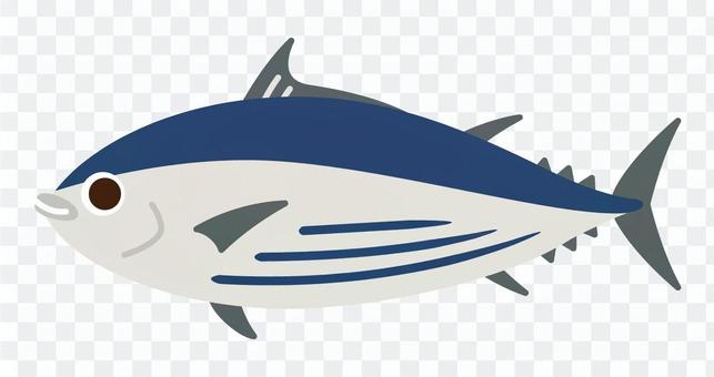 Sea creatures - bonito Sea creatures - bonito