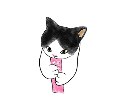 Cat snack 4 Hachiware Cat snack 4 Hachiware