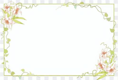 Lilies and vine frames Lilies and vine frames