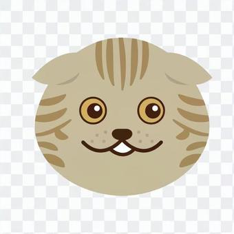 Cat's face Cat's face
