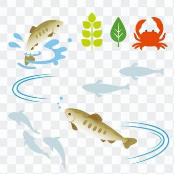River fish illustration River fish illustration