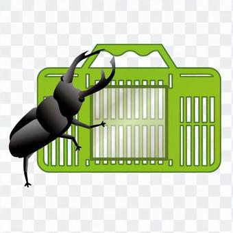 Stag beetle and bug basket Stag beetle and bug basket