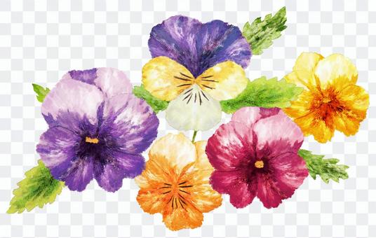 Pansy watercolor picture · Wallpaper Pansy watercolor picture · Wallpaper