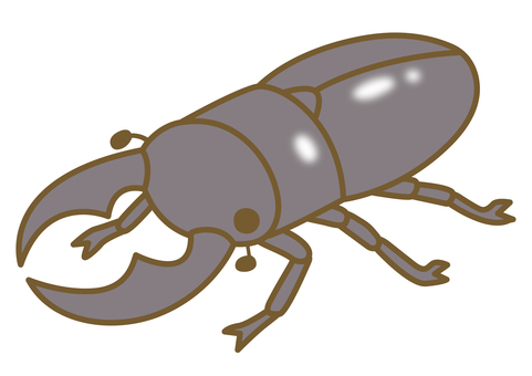 Illustration of cute stag beetle Illustration of cute stag beetle
