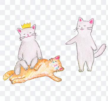 Bullying cat Bullying cat