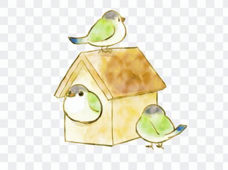 Bird house Bird house