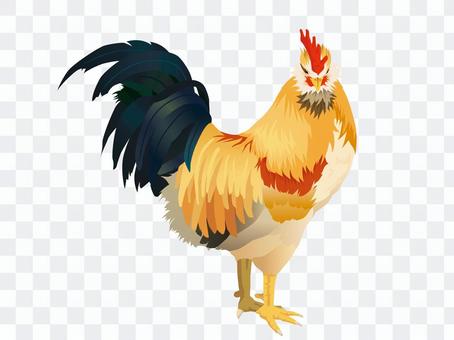 Rooster year chicken, chicken, chicken whole body material 03 Rooster year chicken, chicken, chicken whole body material 03