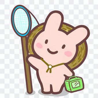 Nico Rabbit Insect Removal Nico Rabbit Insect Removal