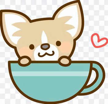 Chihuahua in the cup Chihuahua in the cup