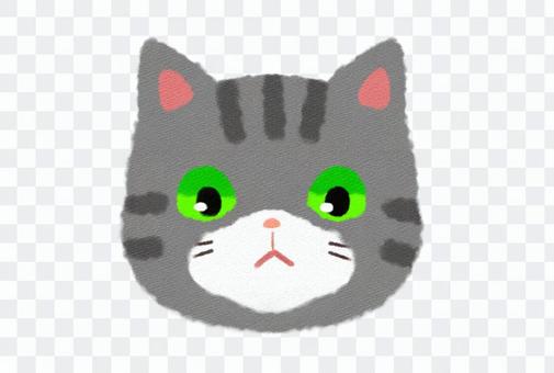The face of a tiger tabby cat The face of a tiger tabby cat