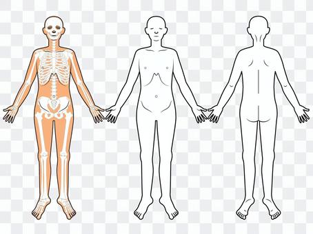 Questionnaire / Explanation / Human Body Questionnaire / Explanation / Human Body