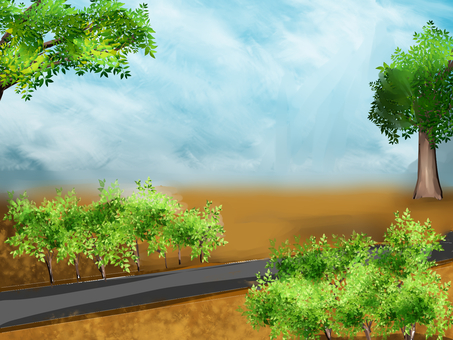 Road bush background Road bush background