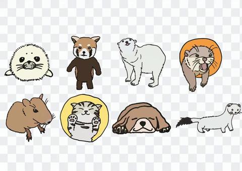 Mofumofu Animal Mofumofu Animal
