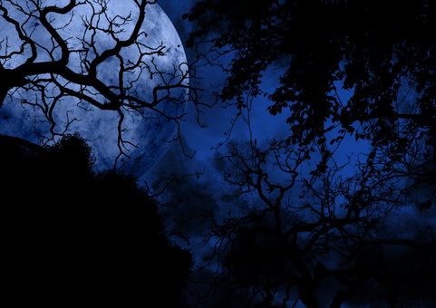 Full moon seen from the eerie blue forest Full moon seen from the eerie blue forest