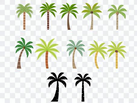 Palm trees set Palm trees set