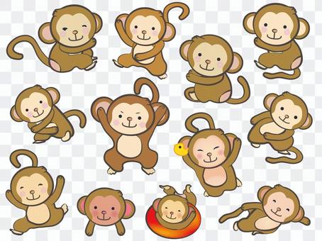 Monkey 08 Monkey 08