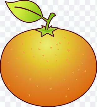 Mandarin orange Mandarin orange