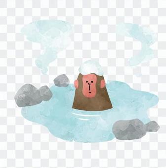 Snow monkey Snow monkey