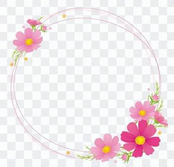 Cosmos decorative frame Cosmos decorative frame