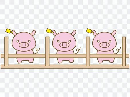 Livestock swine Livestock swine