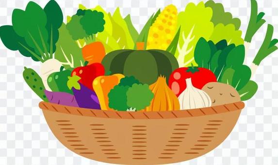 Vegetable basket Vegetable basket